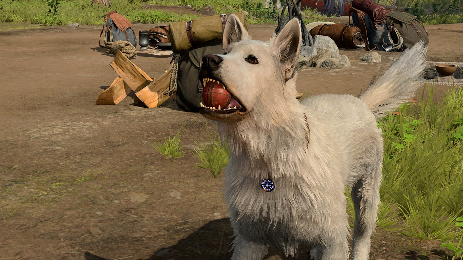 《柏德之門3》任務選項怎麽選？任務選項選擇指南