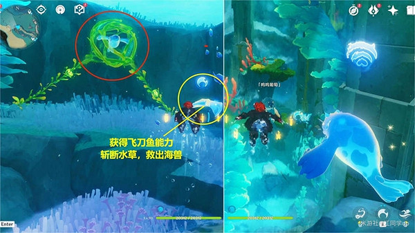 《原神》喂養嗚嗚葡萄任務流程詳解 喂養嗚嗚葡萄任務攻略