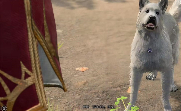 《柏德之門3》撓撓用處介紹