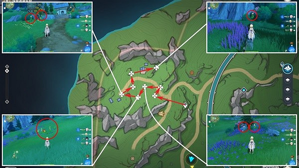 《原神》虹彩薔薇採集路線推薦 林尼突破材料虹彩薔薇採集攻略