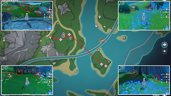 《原神》虹彩薔薇採集路線推薦 林尼突破材料虹彩薔薇採集攻略