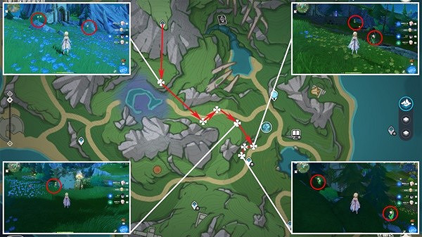 《原神》虹彩薔薇採集路線推薦 林尼突破材料虹彩薔薇採集攻略