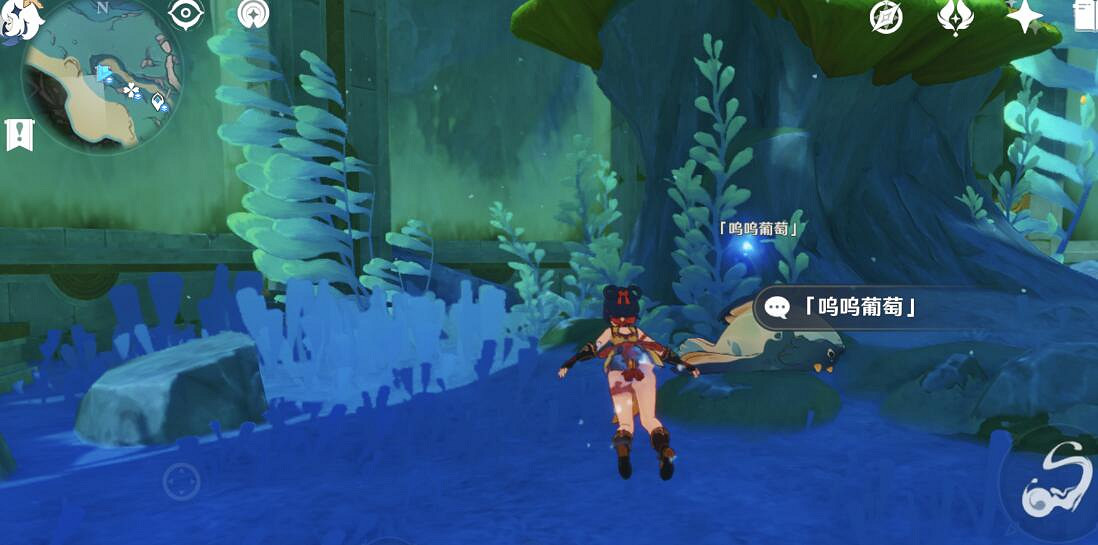 《原神》楓丹投喂海豹任務在哪觸發？楓丹投喂海豹位置