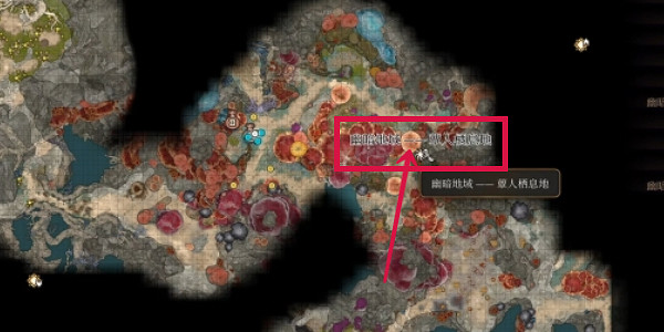 《柏德之門3》特效奧術滋養靈藥在哪獲得? 特效奧術滋養靈藥獲取攻略 《柏德之門3》特效奧術滋養靈藥在哪獲得? 特效奧術滋養靈藥獲取攻略