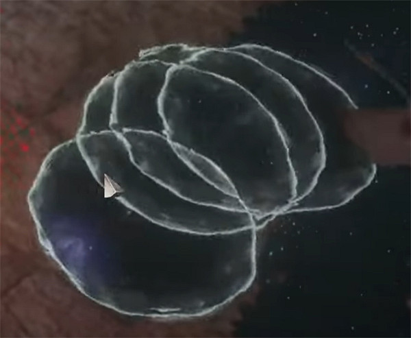 《流亡黯道》終極首領塑界者打法介紹 《流亡黯道》終極首領塑界者打法介紹