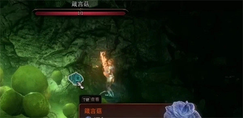 《柏德之門3》箴言菇只有一個嗎？ 箴言菇數量介紹