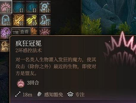 《柏德之門3》法師二環法術推薦 法師二環好用法術有哪些？