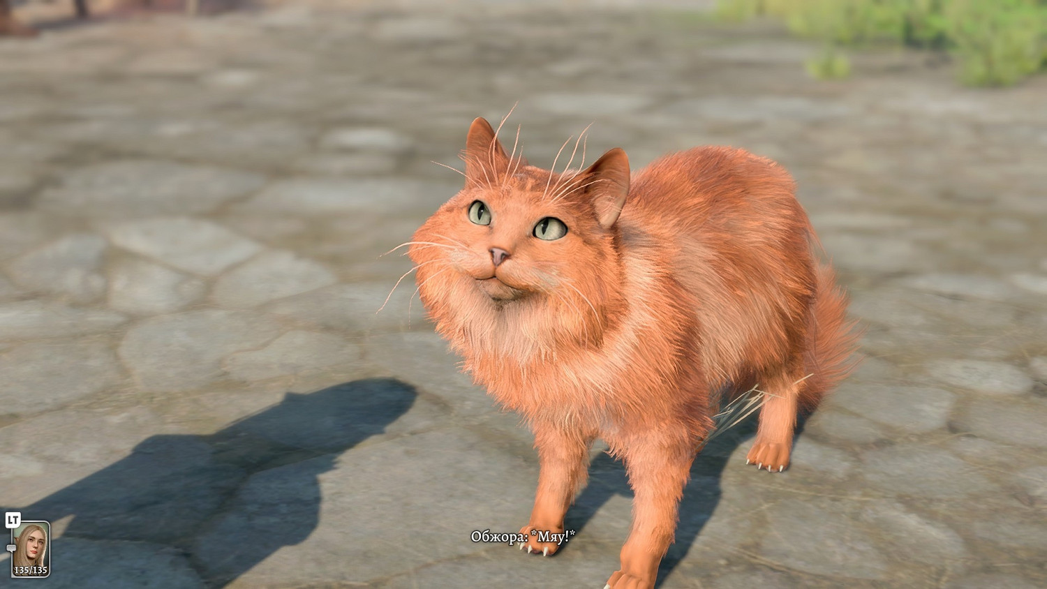 《柏德之門3》放了她成就怎麽做?放了她獎杯技巧 《柏德之門3》放了她成就怎麽做?放了她獎杯技巧