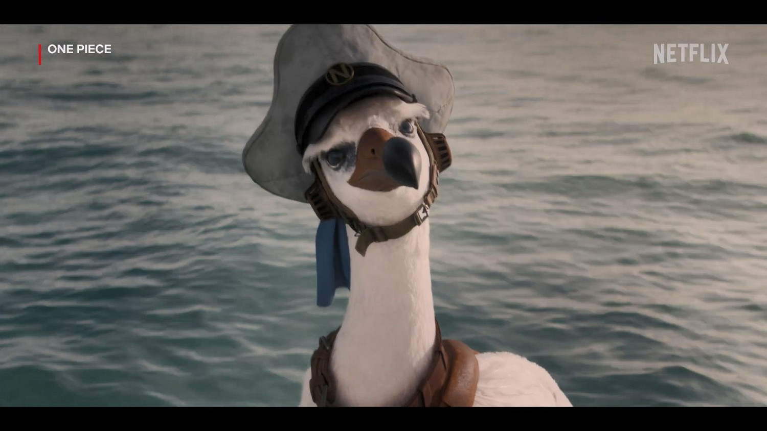 網飛《海賊王》真人劇曝日語版預告 動畫聲優原班人馬