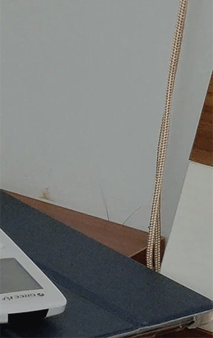 男子打劫只要妹子原味襪子 動圖 這個圖你一定喊臥槽