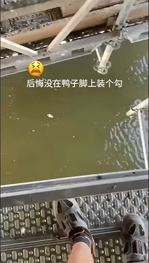 男子打劫只要妹子原味襪子 動圖 這個圖你一定喊臥槽