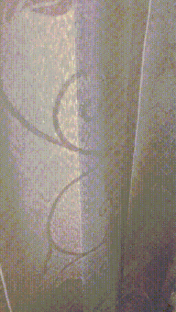 男子打劫只要妹子原味襪子 動圖 這個圖你一定喊臥槽