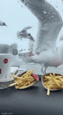 男子打劫只要妹子原味襪子 動圖 這個圖你一定喊臥槽