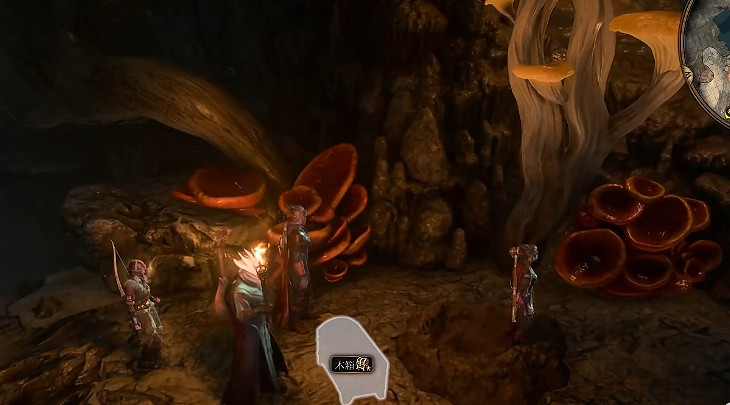 《柏德之門3》魚人村寶箱在哪？ 魚人村寶箱位置