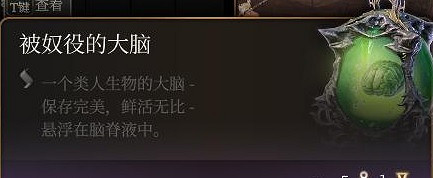 《柏德之門3》被奴役的大腦有什麽用？ 被奴役的大腦作用介紹