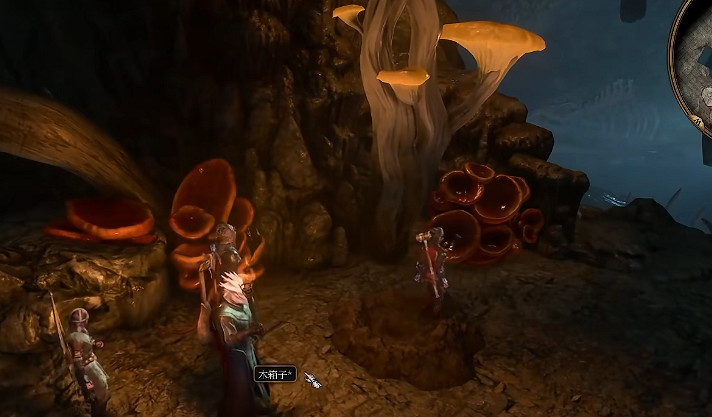 《柏德之門3》魚人村寶箱在哪？ 魚人村寶箱位置