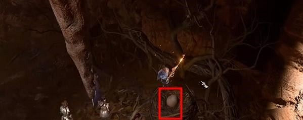 《柏德之門3》蛋撿不起來怎麽辦？ 蛋撿不起來解決方法