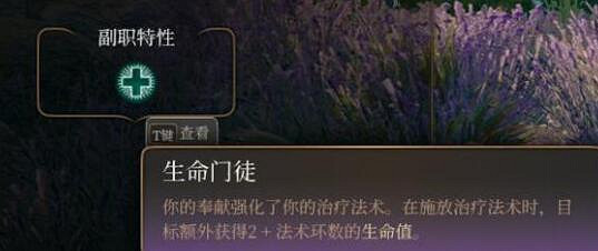 《柏德之門3》生命牧師怎麽玩?生命牧師職業bd推薦 《柏德之門3》生命牧師怎麽玩?生命牧師職業bd推薦