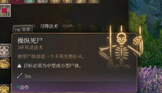 《柏德之門3》生命牧師怎麽玩?生命牧師職業bd推薦 《柏德之門3》生命牧師怎麽玩?生命牧師職業bd推薦