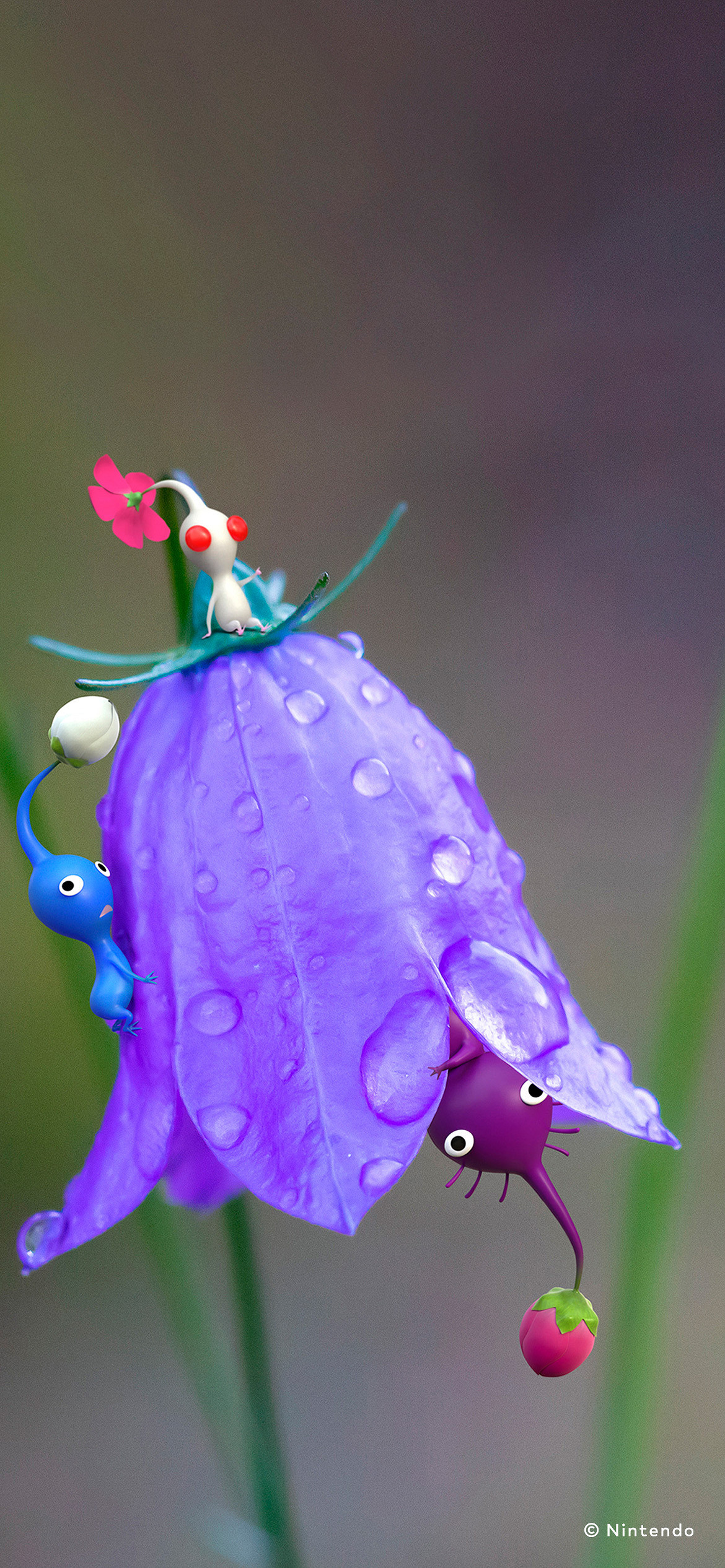 任天堂官網《皮克敏4》9月日曆壁紙分享！免費領取