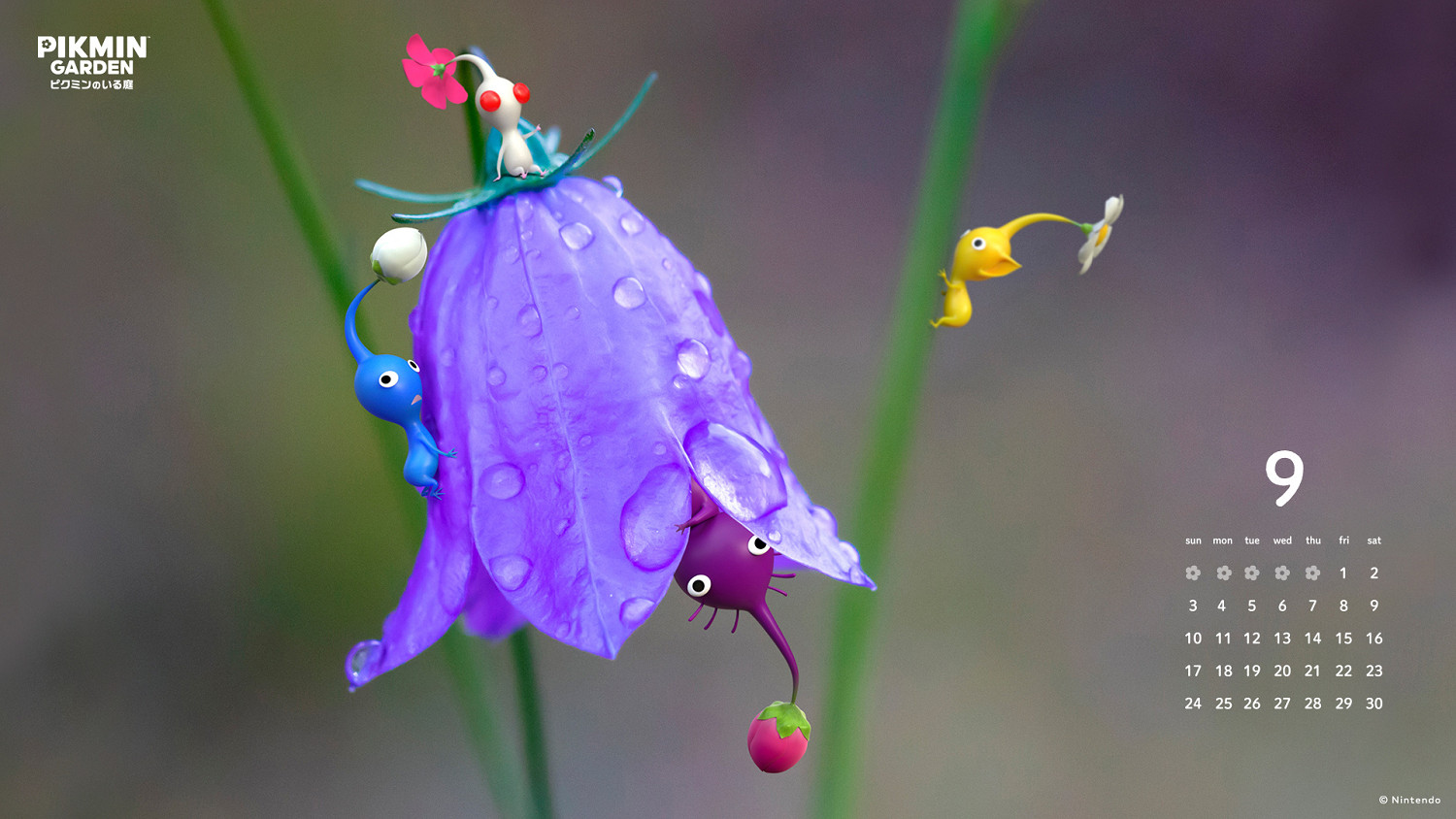 任天堂官網《皮克敏4》9月日曆壁紙分享！免費領取