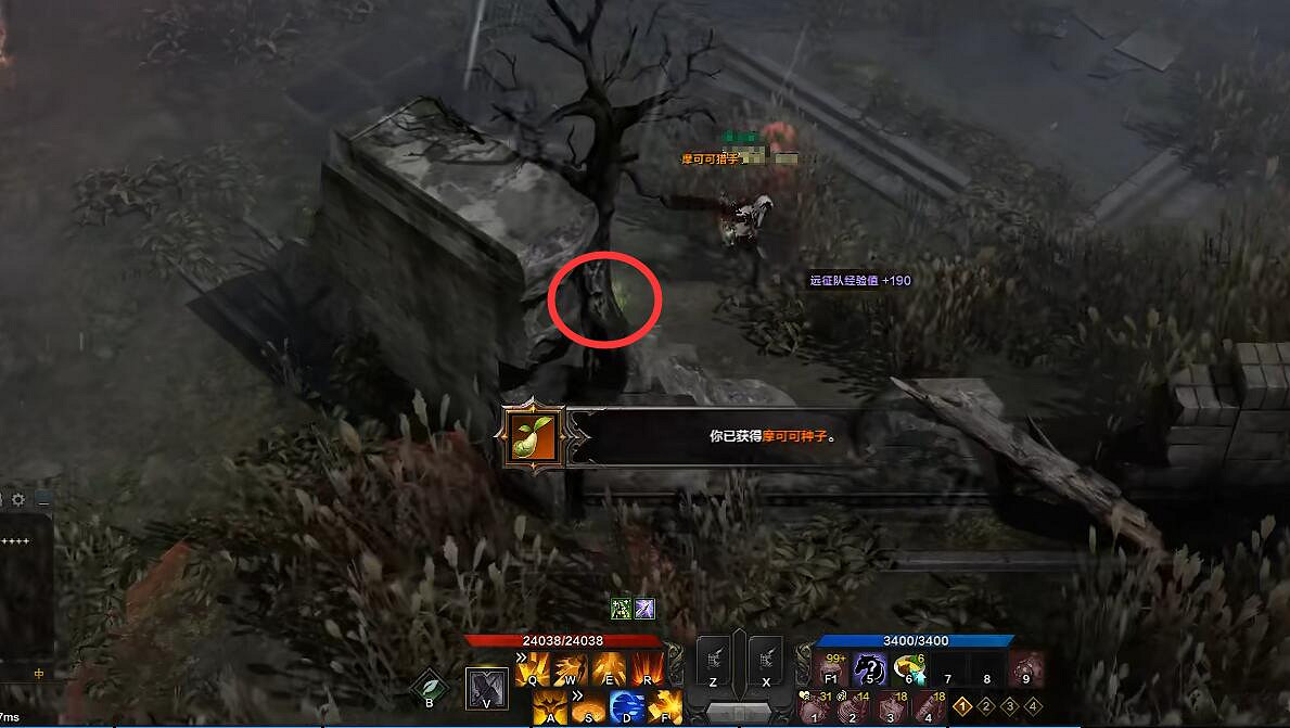 《命運方舟》修羅島摩可可位置介紹