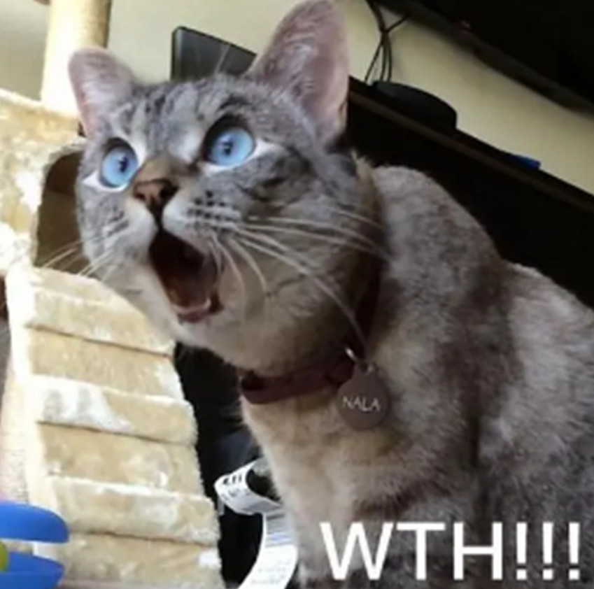 時尚版模擬人生!以閃亮之名實開啟最高階的中國大陸研發換裝遊戲先河 時尚版模擬人生!以閃亮之名實開啟最高階的中國大陸研發換裝遊戲先河