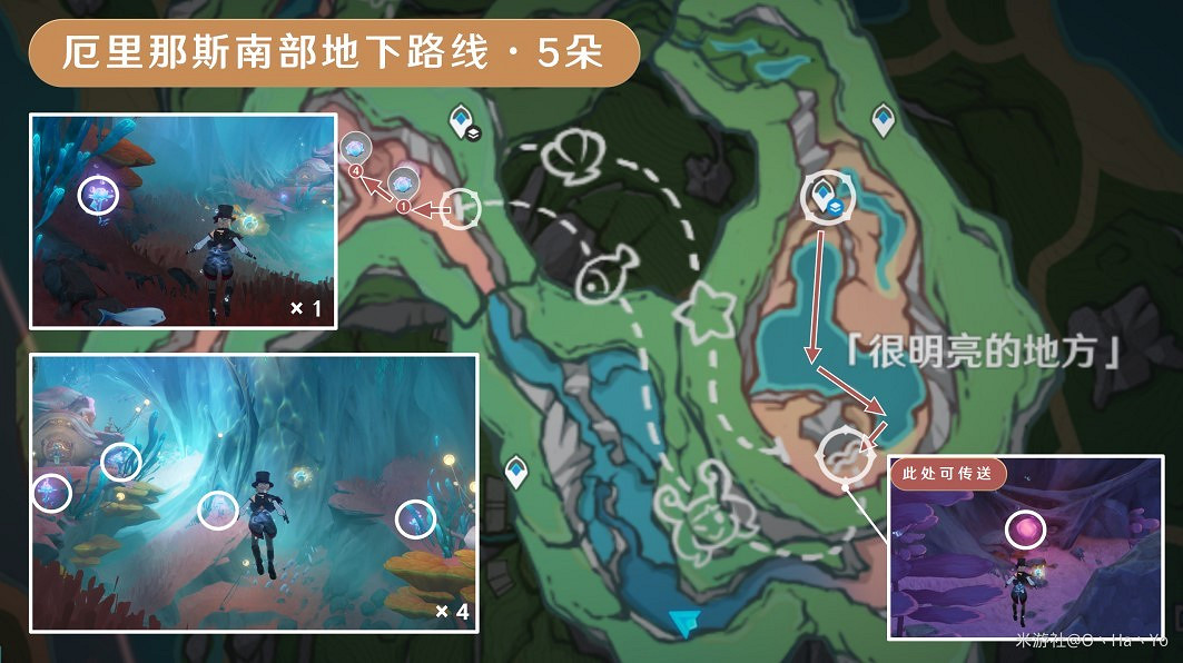 《原神》海露花採集路線分享 《原神》海露花採集路線分享