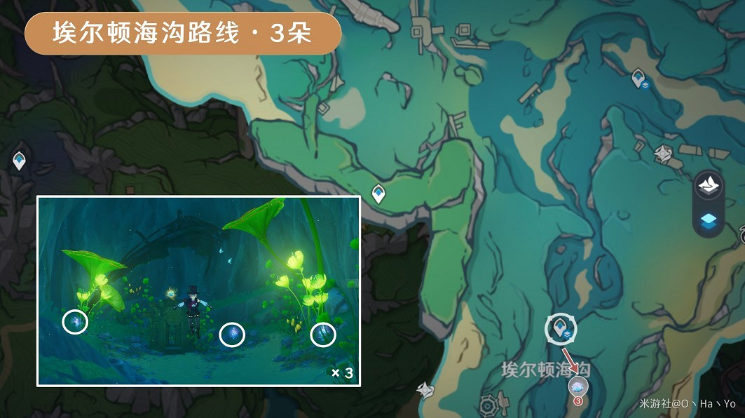 《原神》海露花採集路線分享 《原神》海露花採集路線分享
