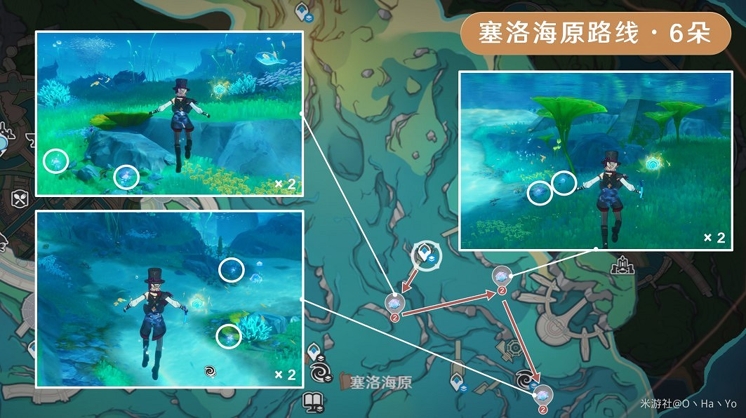 《原神》海露花採集路線分享 《原神》海露花採集路線分享