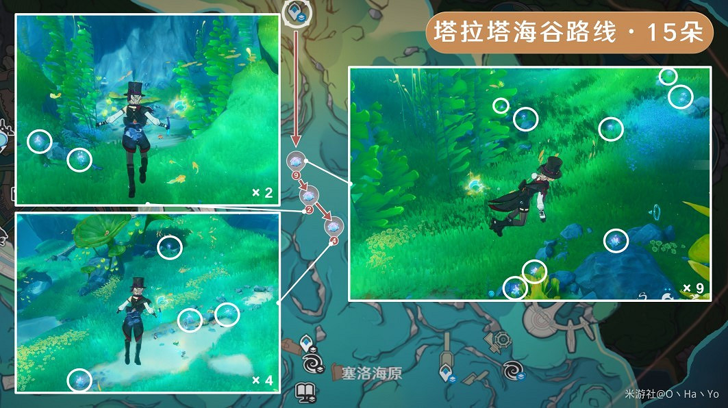 《原神》海露花採集路線分享 《原神》海露花採集路線分享