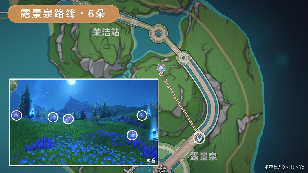 《原神》海露花採集路線分享 《原神》海露花採集路線分享