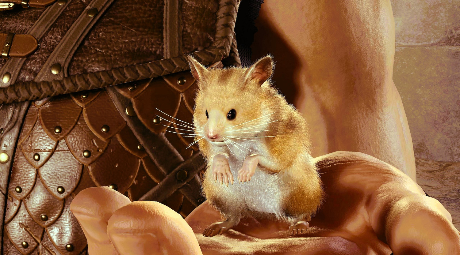 《柏德之門3》詞條怎麽添加？各類詞條分享