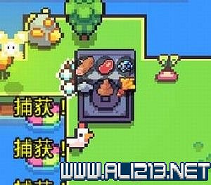 《Forager》新手教學圖文全介紹 覓食者Forager新手怎麽入門? 《Forager》新手教學圖文全介紹 覓食者Forager新手怎麽入門?