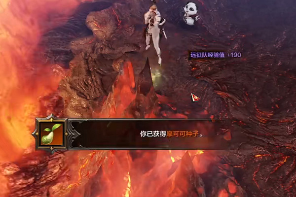 《命運方舟》冰火島摩可可在哪？冰火島摩可可收集位置介紹