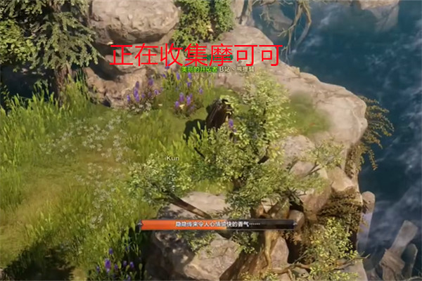 《命運方舟》鯨魚島摩可可在哪？鯨魚島摩可可獲取攻略