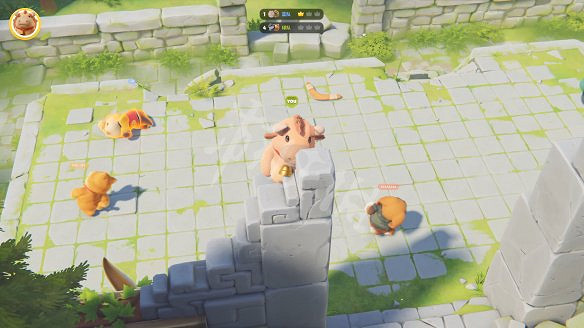 《猛獸派對》武道會怎麽獲勝？武道會生存賽獲勝技巧