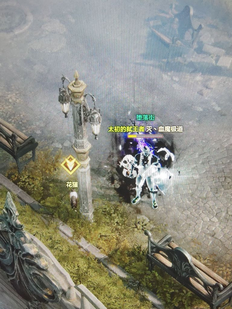 《命運方舟》貝隆南隱藏任務抓住老鼠吱吱怎麽做？ 抓住老鼠吱吱任務攻略