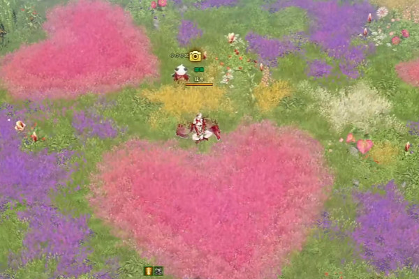 《命運方舟》利貝海姆摩可可怎麽獲得？利貝海姆摩可可獲取攻略