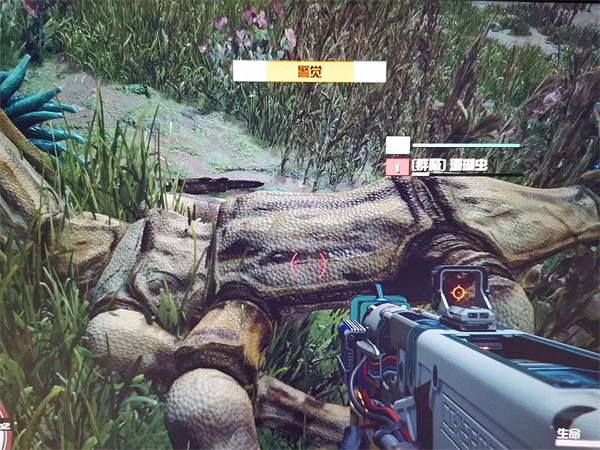 《星空Starfield》生物非致命收割方法介紹 《星空Starfield》生物非致命收割方法介紹