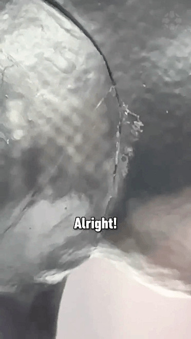 《漫威蜘蛛人2》典藏版毒液雕像實物展示 瑕疵明顯! 《漫威蜘蛛人2》典藏版毒液雕像實物展示 瑕疵明顯!