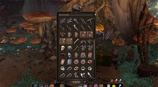 《柏德之門3》空間不足解決方法