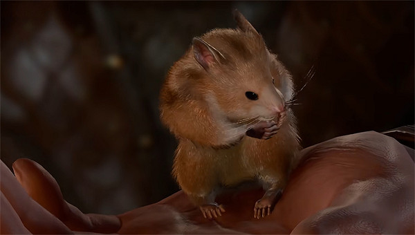 《柏德之門3》明斯克倉鼠位置介紹 《柏德之門3》明斯克倉鼠位置介紹