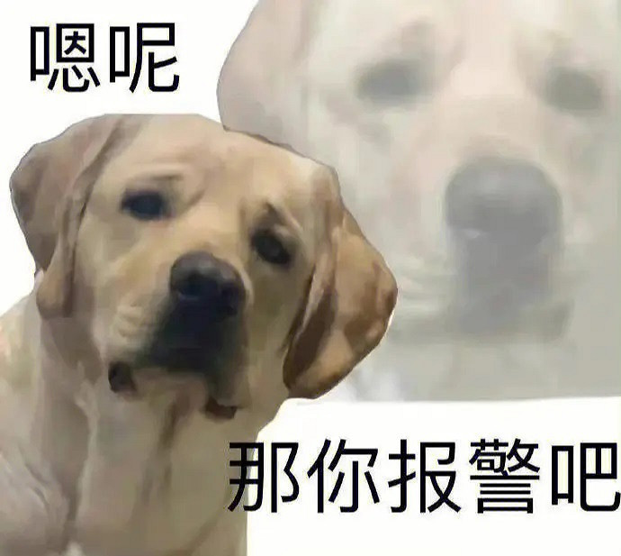 漫天差評的“中國大陸研發隻狼”製作人,在評論區和玩家PVP 漫天差評的“中國大陸研發隻狼”製作人,在評論區和玩家PVP