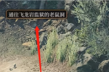 《柏德之門3》不尋常的頭骨問題是幹嘛的？ 不尋常的頭骨謎語詳解