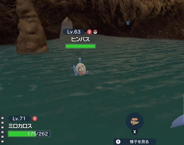 《寶可夢朱紫》醜醜魚在哪刷?碧之假面醜醜魚位置分享 《寶可夢朱紫》醜醜魚在哪刷?碧之假面醜醜魚位置分享