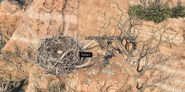 《柏德之門3》鷹身女妖位置介紹