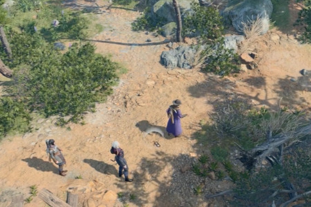 《柏德之門3》開局鐵鍬在哪？開局鐵鍬位置介紹