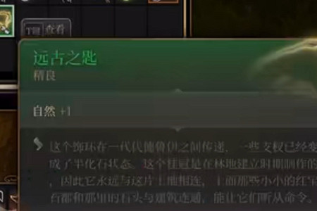 《柏德之門3》閒庭圖書館地下室怎麽開? 閒庭圖書館地下室開啟方法 《柏德之門3》閒庭圖書館地下室怎麽開? 閒庭圖書館地下室開啟方法