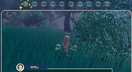 《寶可夢朱紫》月月熊在哪出現?月月熊獲取方法 《寶可夢朱紫》月月熊在哪出現?月月熊獲取方法